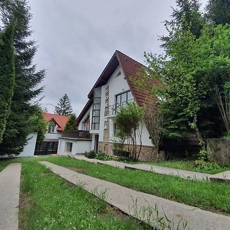 Vila Sorina Poiana Brașov Zewnętrze zdjęcie