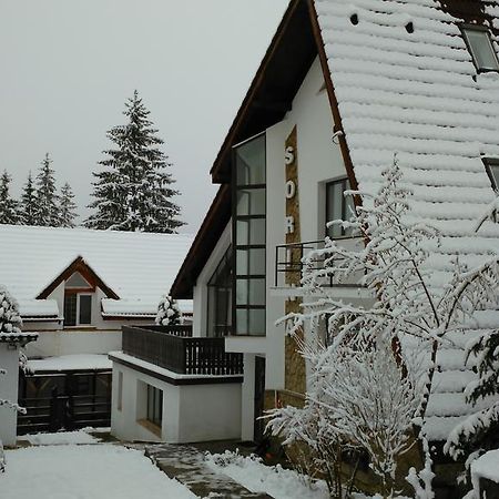 Vila Sorina Poiana Brașov Zewnętrze zdjęcie
