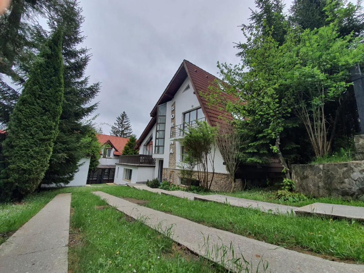 Vila Sorina Poiana Brașov Zewnętrze zdjęcie